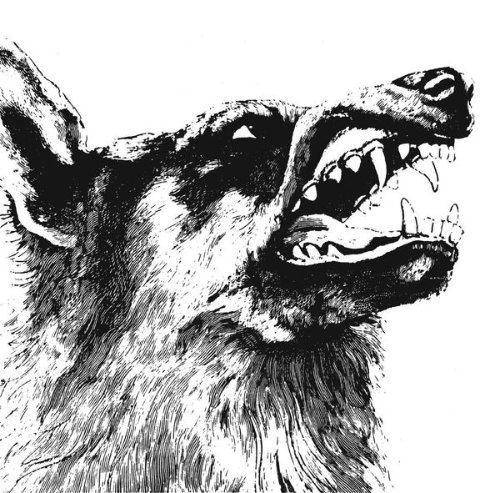 Crippled Back Phoenix - I Vigilante.jpg